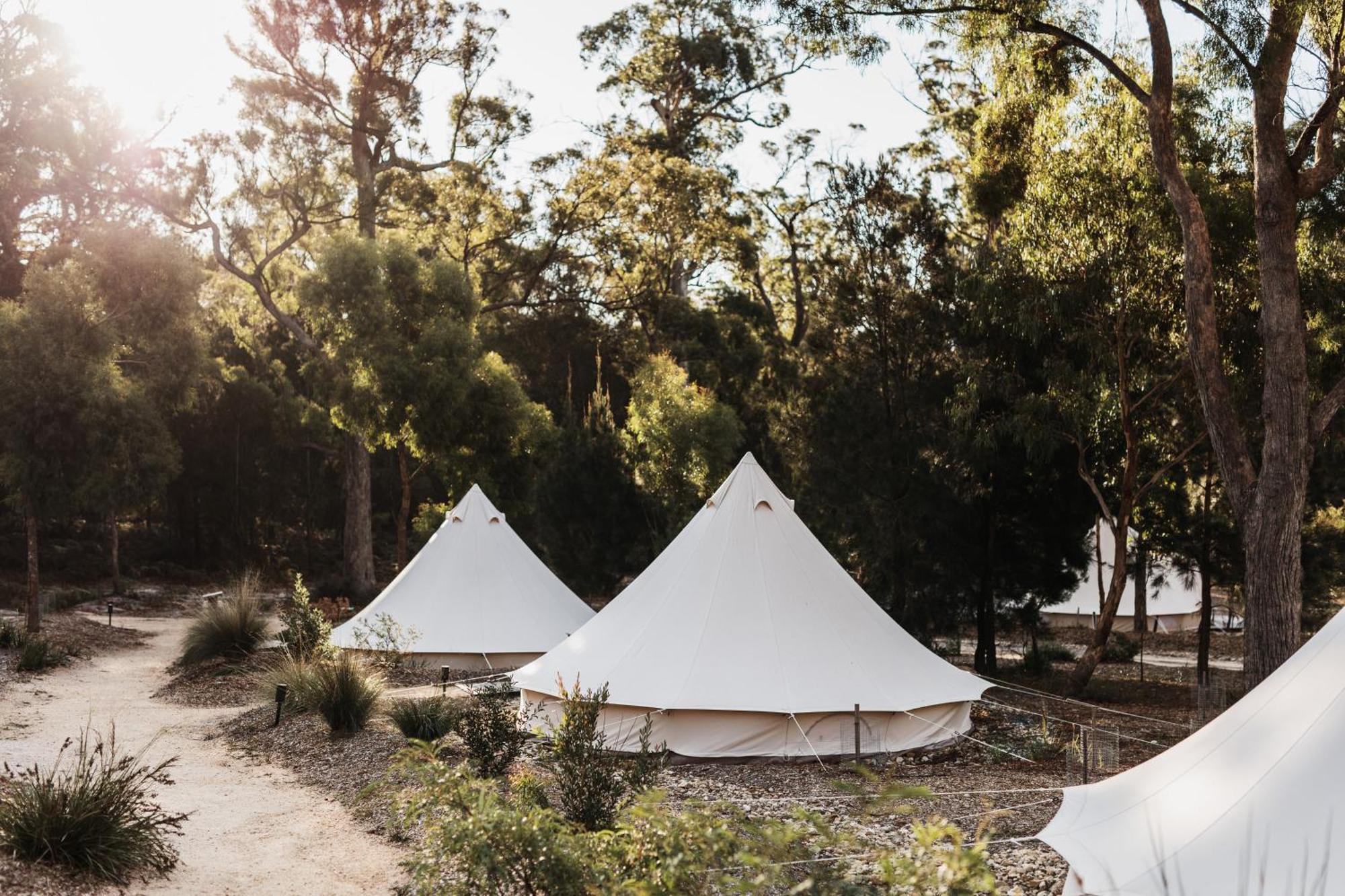 Bed and Breakfast Bay Of Fires Bush Retreat Binalong Bay Exterior foto